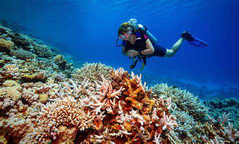 2.TakeaScenicBeachDive