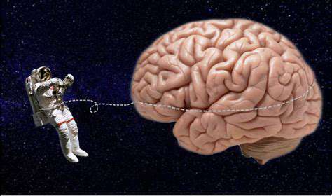 Mars Colony Marriage Preparation Guides for Astronaut Couples