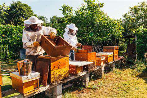 HoneyHarvestingandHiveManagementforUrbanCouples