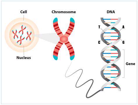 Genetic Compatibility Testing Trends Among Millennial Couples