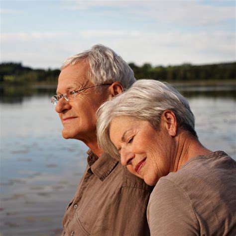 Robot Pet Memorial Services for Childless Couples