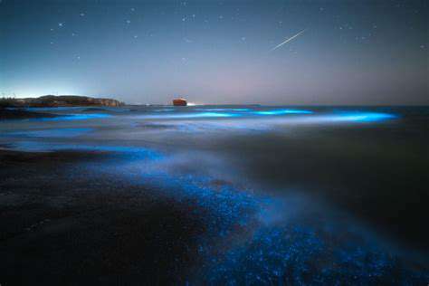 PlanningYourBioluminescenceDive:ChoosingtheRightLocation
